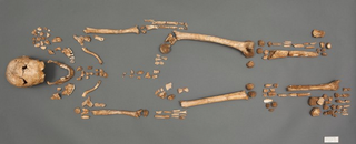 Illustration for article titled A Religious Mystery Is Found Buried At Jamestown